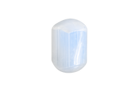 Selenite