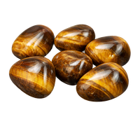 Tiger's Eye view 3